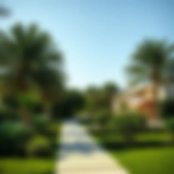 Lush green spaces in Ras Khor offering a contrast to urban settings