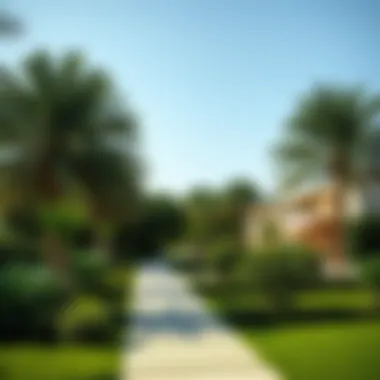 Ras Khor Green Oasis Lush green spaces in Ras Khor offering a contrast to urban settings