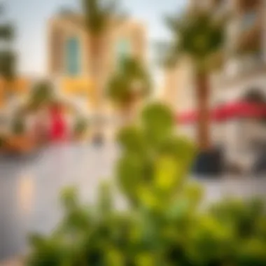 Vibrant Community Amenities in Al Khail Gate Vibrant community amenities in Al Khail Gate