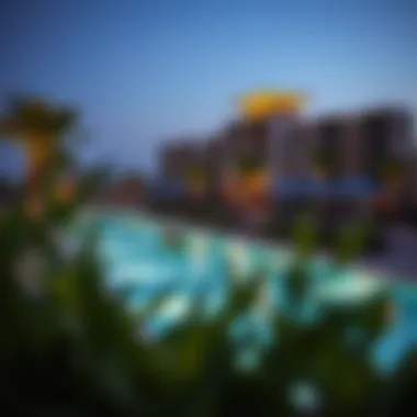 Community amenities and recreational areas in ذا فالي