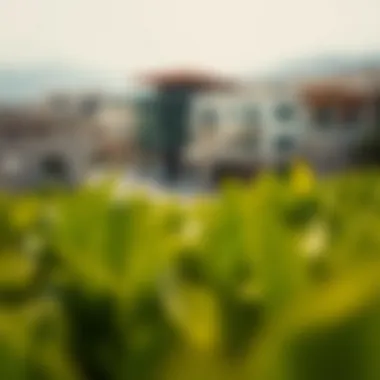 Investment Potential of هيلي روتانا Investment potential in هيلي روتانا