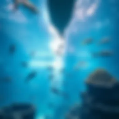 Main Tank of Dubai Aquarium Stunning view of the Dubai Aquarium's main tank showcasing diverse marine life