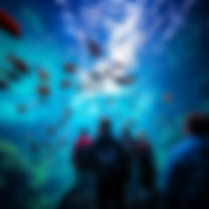 Underwater Tunnel Experience Visitors observing the underwater tunnel filled with vibrant fish