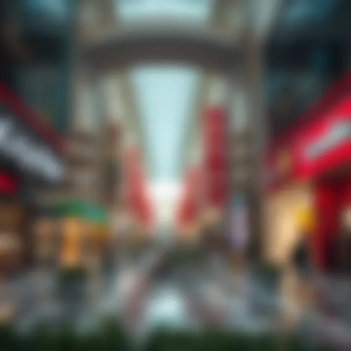 Exploring the Dubai Mall and Lulu Hypermarket: A Comprehensive Overview Introduction