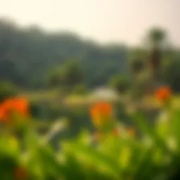 A breathtaking view of the Dubai Wildlife Sanctuary showcasing its lush greenery and diverse habitats.