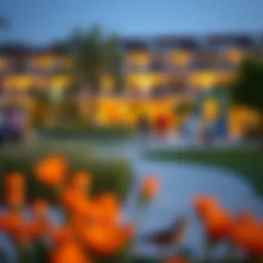 Vibrant community space in Meydan, featuring recreational facilities and parks.