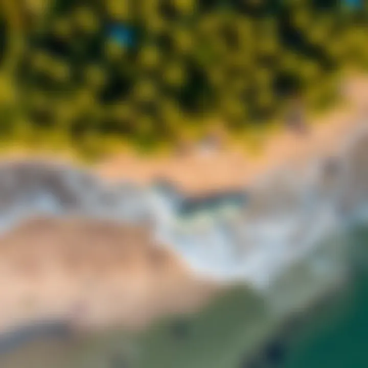 Aerial Perspective of Mangrove Beach Aerial view of the beach showcasing its natural beauty