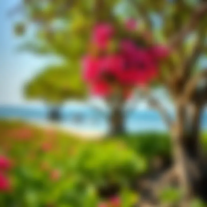 Flora of Mangrove Beach Vibrant mangrove trees along the shoreline