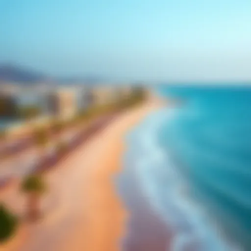Panoramic view of Alzora Beach showcasing its pristine waters and sandy shores