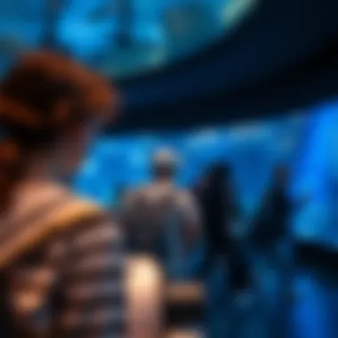 Immersive Visitor Interactions Visitors enjoying an immersive experience with interactive displays.