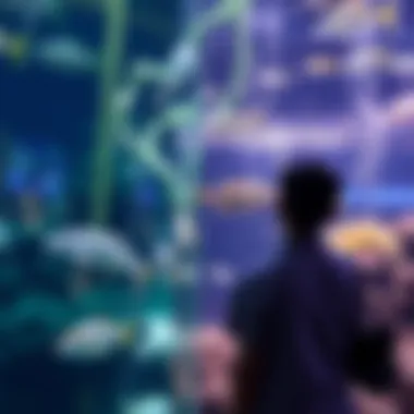 Marine Conservation Education An educational exhibit showcasing the importance of marine conservation efforts.