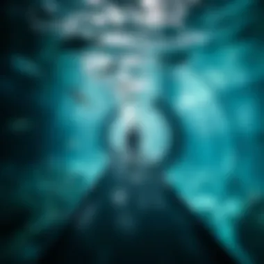 Underwater Tunnel Experience A captivating underwater tunnel offering a 360-degree view of aquatic wonders.