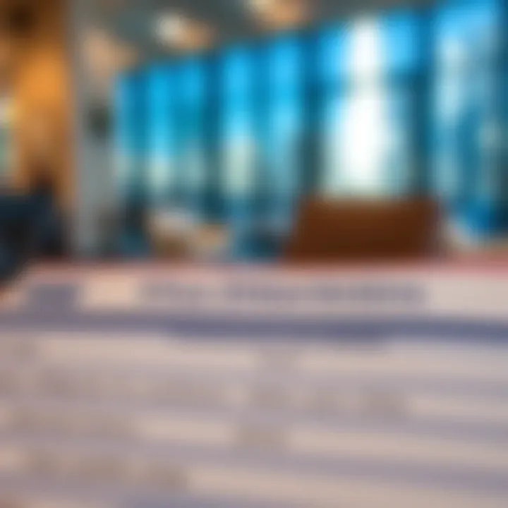 Employment visa details