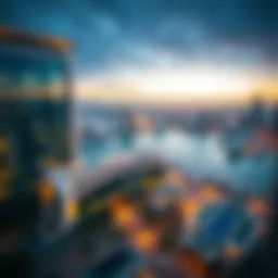 Overview of UAE visa categories