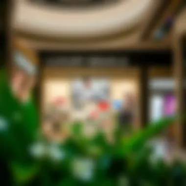 Luxury Branding in Retail Luxury brands displayed in an upscale retail environment