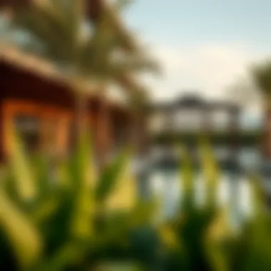Luxury Amenities in Mulberry Community Luxurious amenities available in Mulberry community