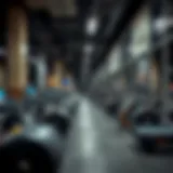 My First Gym Experience in Dubai: A Detailed Exploration Introduction