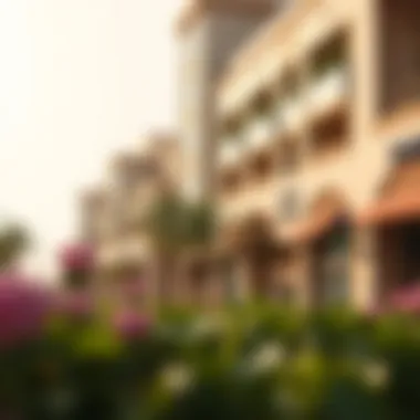 Local amenities in Al Warqa including parks and shopping areas