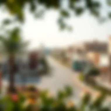 Aweer Neighborhood and Its Amenities Overview of Aweer neighborhood highlighting amenities