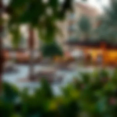 Community Park and Amenities in Oud Metha Community park in Oud Metha showcasing amenities