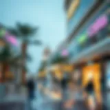 Premier Shopping Destinations in Dubai Introduction