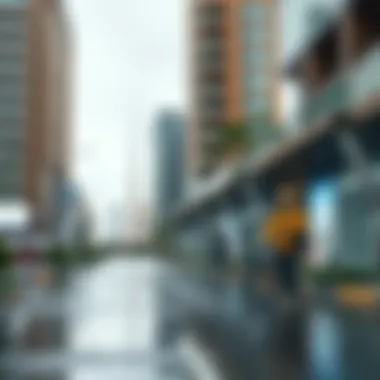 Urban areas affected by rainfall showcasing infrastructure adjustments