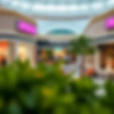 Consumer Demographics at Spring Village Mall A chart illustrating consumer demographics within Spring Village Mall