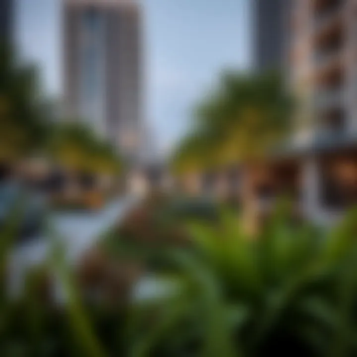 Community gardens and green spaces enhancing urban living