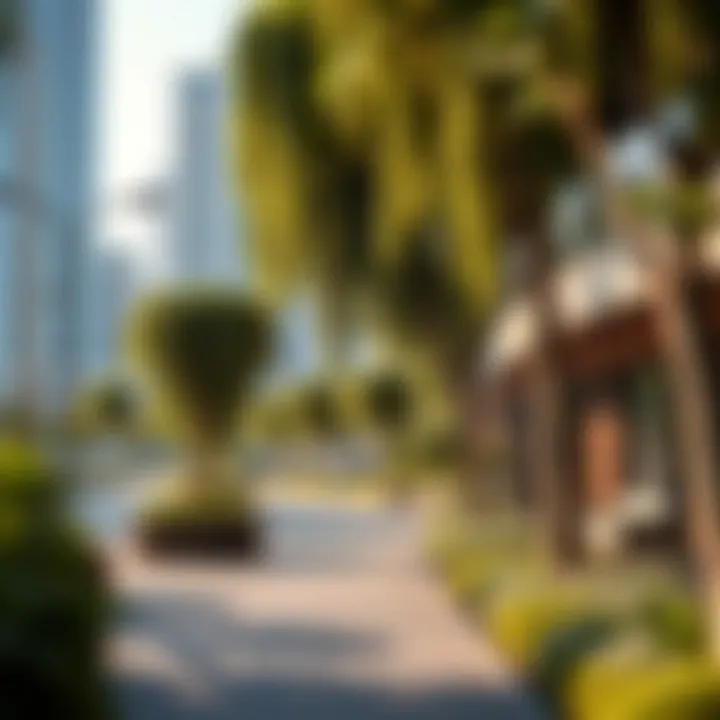 Urban planning strategies promoting eco-friendly living in Dubai