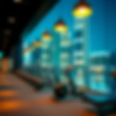 The Marina Gym Scene in Dubai: A Deep Dive Summary The Marina Gym Scene in Dubai: A Deep Dive Summary