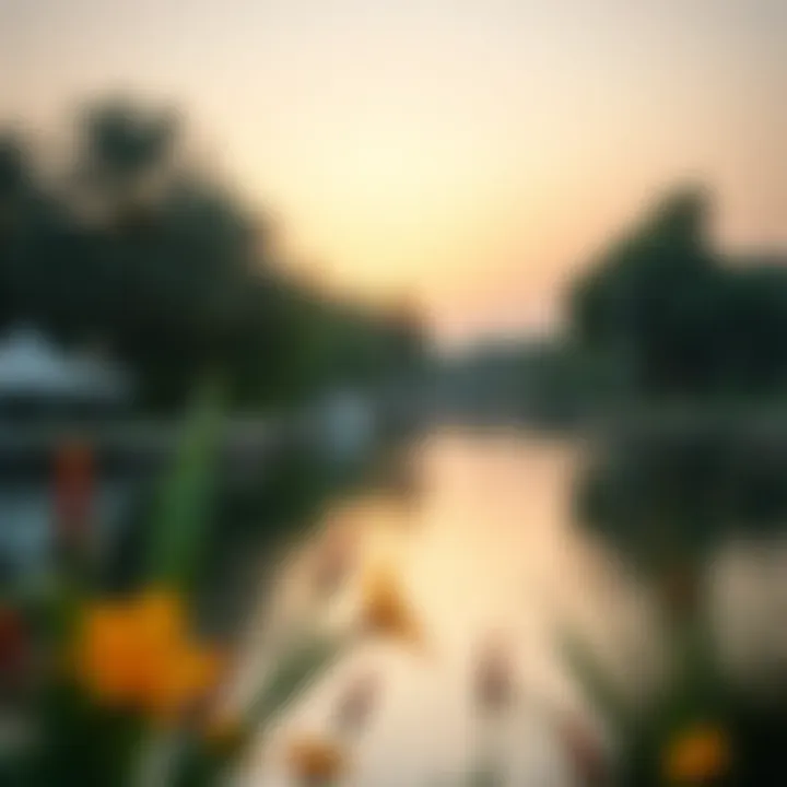 Notable Understanding Al Nahda Pond Park Timings: Navigating Your Visit