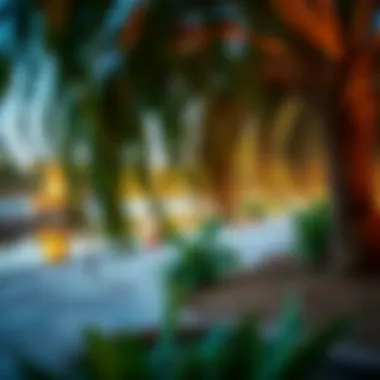 Understanding Al Nahda Pond Park Timings: Navigating Your Visit Summary Understanding Al Nahda Pond Park Timings: Navigating Your Visit Summary