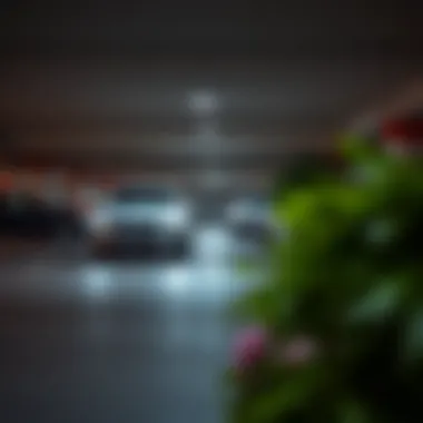 Understanding Parking Regulations and Compliance in Dubai Regulations and Compliance for Parking