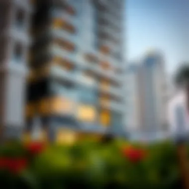 Understanding the Role and Function of Real Estate Agencies in Dubai Summary