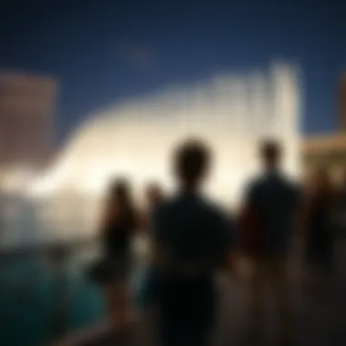Visitors Captivated by Dubai Fountains Visitors enjoying the Dubai Fountains show at night